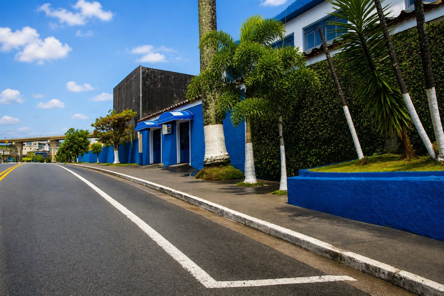 Vista externa do Colégio São Matheus, com fachada azul e palmeiras